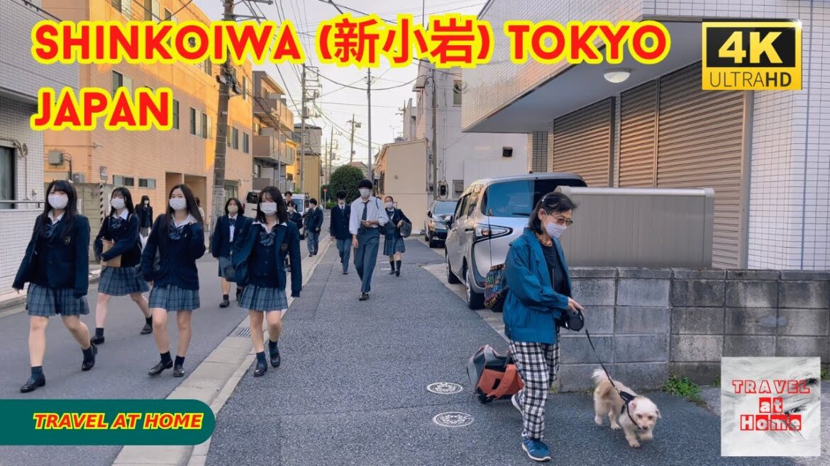 4k hdr japan travel | Walk in Shinkoiwa (新小岩）Tokyo japan |  Relaxing Natural City ambience