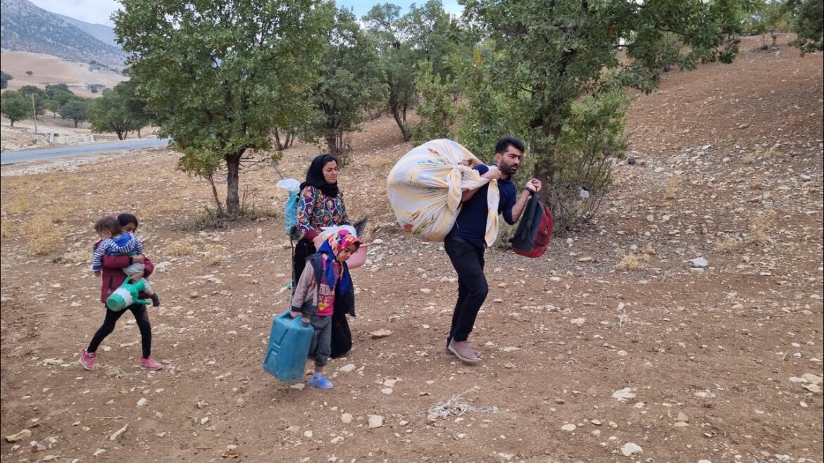 From Fear to New Beginnings: A Nomadic Family’s Journey to Safety with the Help of a Kindred Spirit From Fear to New Beginnings: A Nomadic Family's Journey to Safety with the Help of a Kindred Spirit