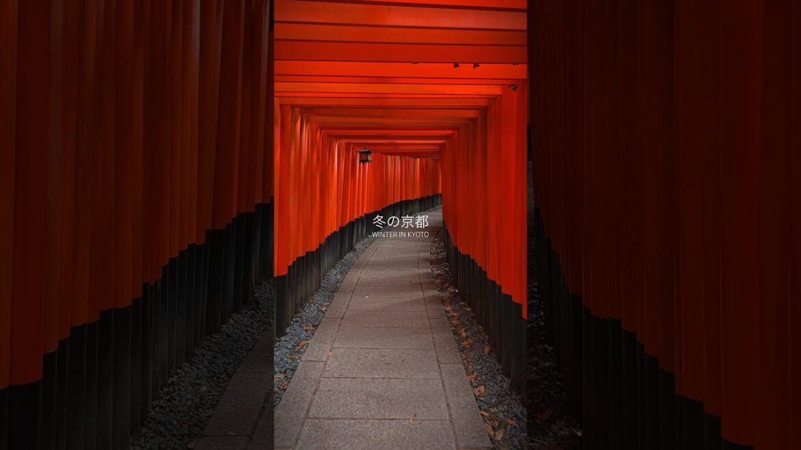 WINTER IN KYOTO ❄️⛩️ #kyoto #WinterinJapan #TravelJapan #TravelKyoto #kyototrip #japankyoto