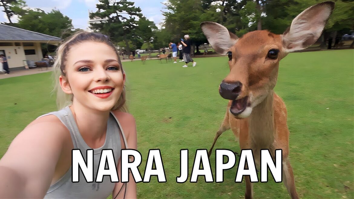 Vlogging With Deer In Nara Japan 🦌🇯🇵