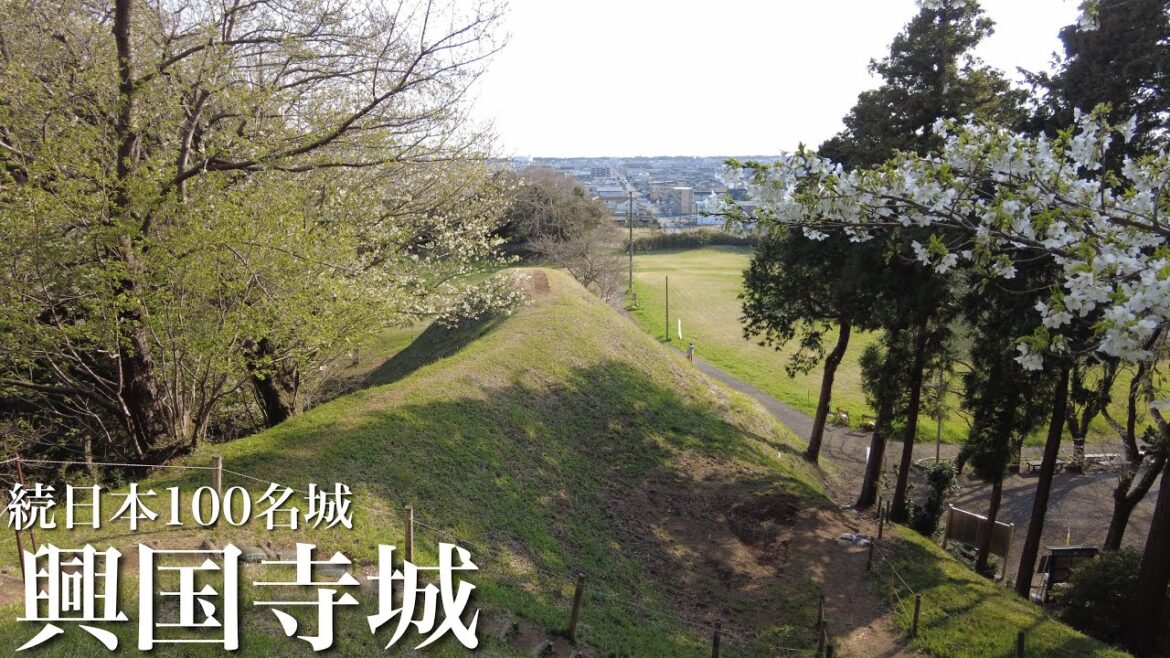 続日本100名城 興国寺城 北条早雲旗揚げの城 静岡県 Koukokuji Castle 2023 続日本100名城 興国寺城 北条早雲旗揚げの城 静岡県 Koukokuji Castle 2023