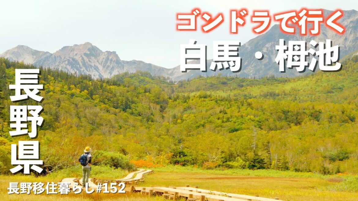 【長野移住】ゴンドラとロープウェイを乗り継いだ先の散策路は圧倒的景色だった!!|栂池自然園|ドライブ|田舎暮らし|長野県|4K 【長野移住】ゴンドラとロープウェイを乗り継いだ先の散策路は圧倒的景色だった!!|栂池自然園|ドライブ|田舎暮らし|長野県|4K