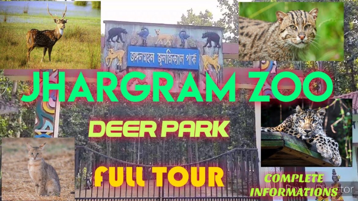 JHARGRAM MINI ZOO | JUNGLEMAHAL ZOOLOGICAL PARK | JHARGRAM DEER PARK | JHARGRAM TOUR JHARGRAM MINI ZOO | JUNGLEMAHAL ZOOLOGICAL PARK | JHARGRAM DEER PARK | JHARGRAM TOUR