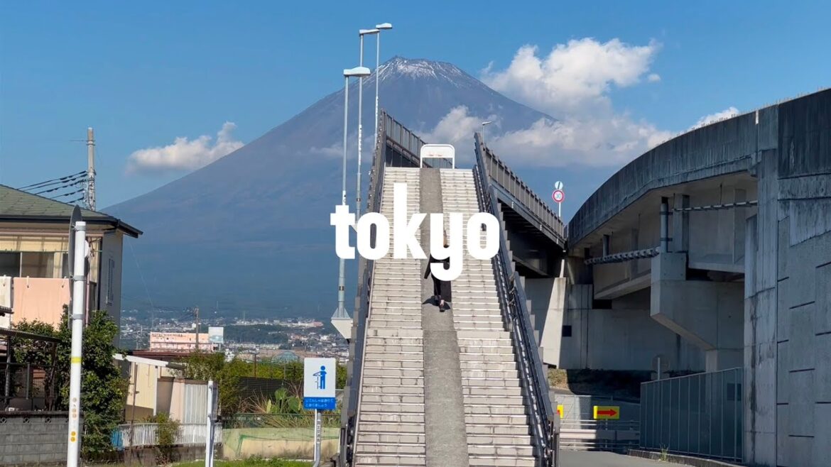 TOKYO JAPAN SOLO TRAVEL 2023 | Mt. Fuji | Ginza | Shibuya | Shinjuku