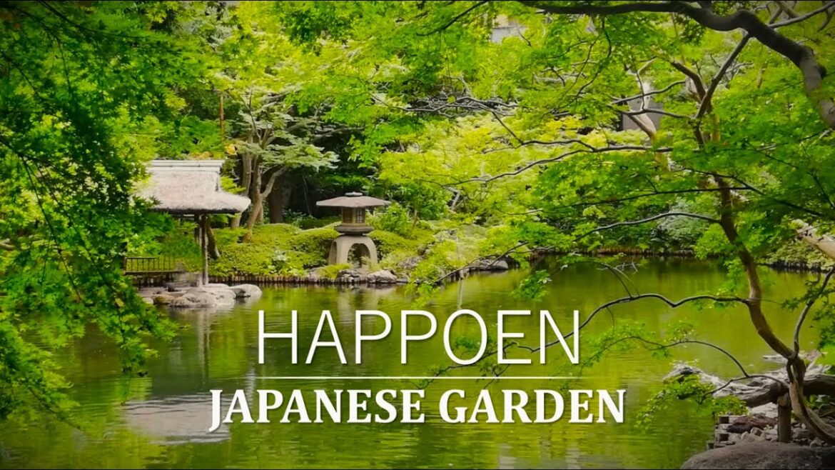 Vibrancy in Stillness | Japanese Garden Tour in TOKYO | Iconic Arbor, BONSAI | HAPPO-EN Vibrancy in Stillness | Japanese Garden Tour in TOKYO | Iconic Arbor, BONSAI | HAPPO-EN