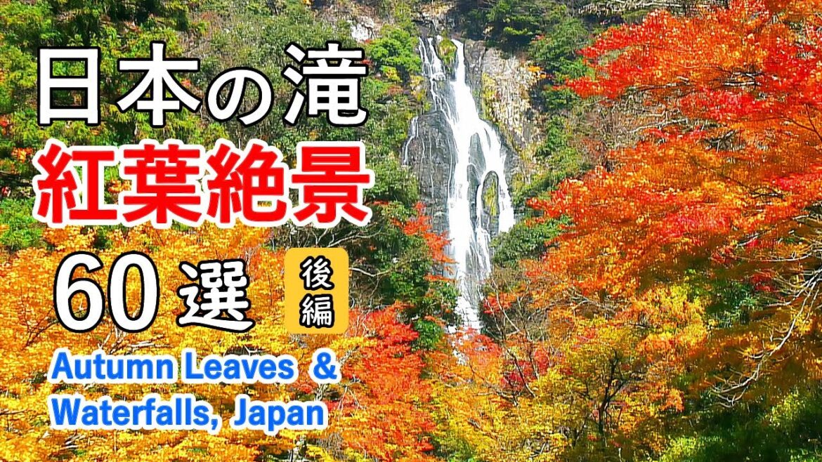 日本の滝 紅葉絶景60選！（後編） 妙高高原・箕面大滝・曽木の滝など / 60 Best View of Autumn Leaves of Waterfalls in Japan (Part 2)