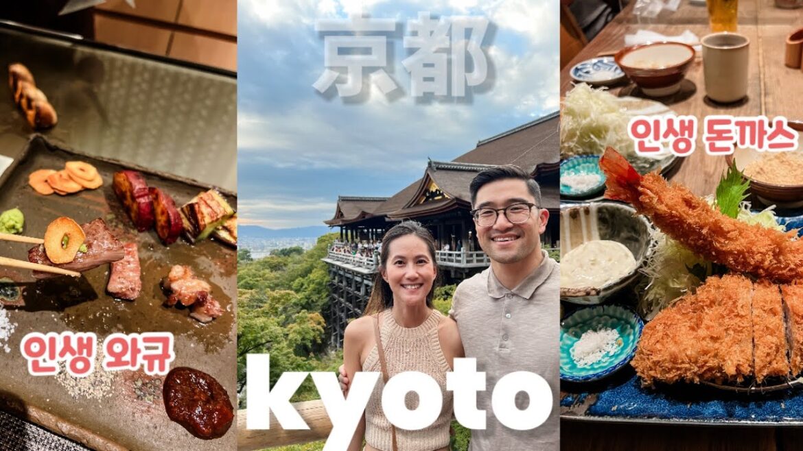 ๐ฏ๐ต Kyoto Travel Vlog // ๋ด ์ต์ ๋์ ๊ตํ ์ฌํ ๐ฏ๐ต ๊ธฐ์๋ฏธ์ฆ๋ฐ๋ผ โฉ ๋์ํค์์ฅ ๐ฝ ์ธ์ ์๊ท์ ์ธ์ ๋๊น์ค ๐ ๐ฏ๐ต Kyoto Travel Vlog // ๋ด ์ต์ ๋์ ๊ตํ ์ฌํ ๐ฏ๐ต ๊ธฐ์๋ฏธ์ฆ๋ฐ๋ผ โฉ ๋์ํค์์ฅ ๐ฝ ์ธ์ ์๊ท์ ์ธ์ ๋๊น์ค ๐