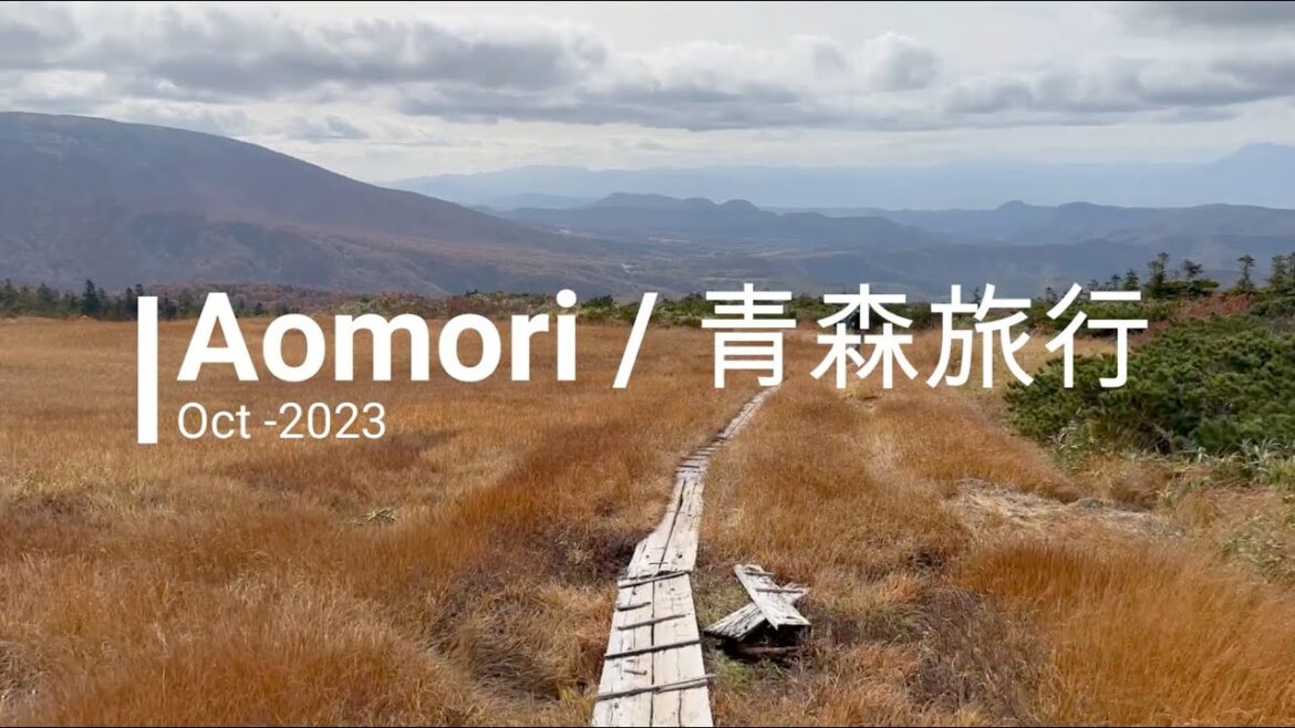 Aomori / 青森旅行