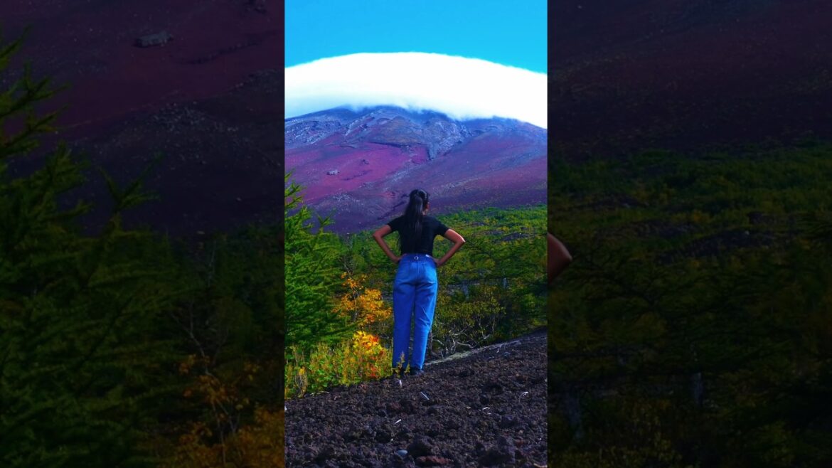 Top secret Mt. Fuji viewing spot in Yamanashi Japan 🇯🇵 🗻 😮 #MtFuji #hiddengems #TravelJapan Top secret Mt. Fuji viewing spot in Yamanashi Japan 🇯🇵 🗻 😮 #MtFuji #hiddengems #TravelJapan