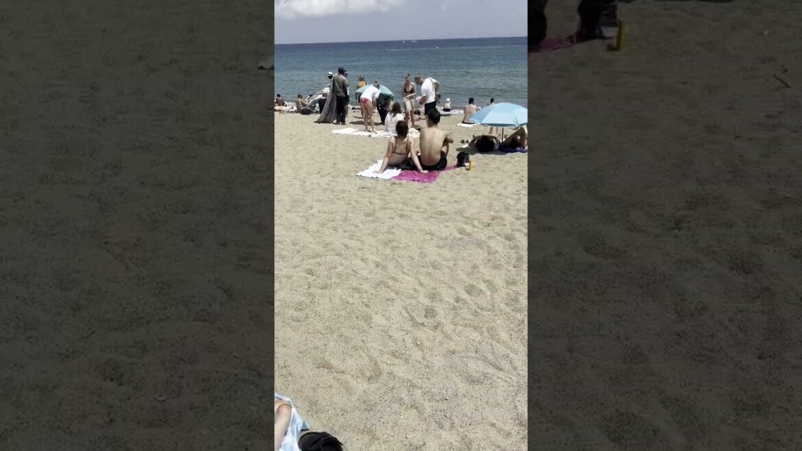 🇪🇸 Nice day at Barcelona beach 🇪🇸 Nice day at Barcelona beach