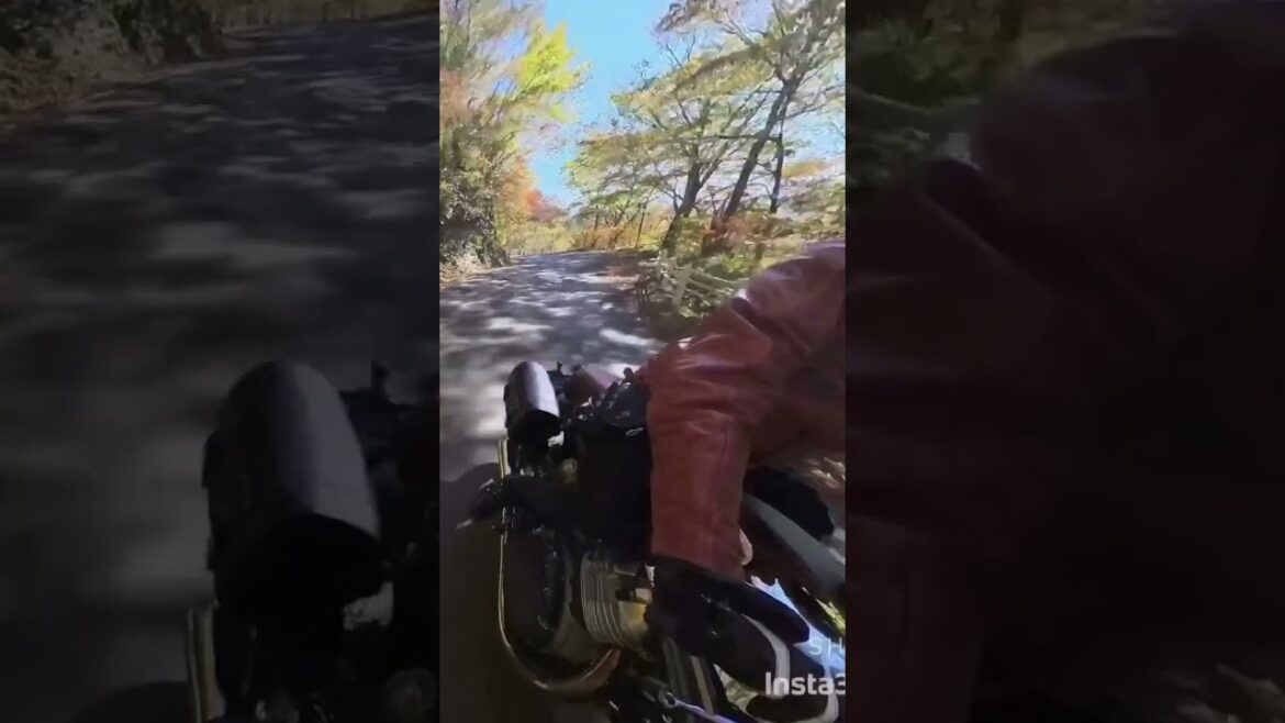 石鎚山UFOライン^ ^ #ロイヤルエンフィールド #continentalgt650 #insta360x3 #ufoライン #石鎚山 #ツーリング #ソロツーリング