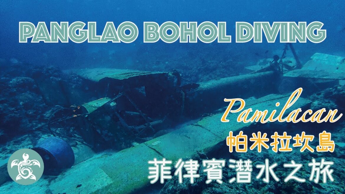 Panglao Bohol Diving |菲律賓潛水之旅 | Pamilacan| Airport 海下飛機| Panglao Bohol Diving |菲律賓潛水之旅 | Pamilacan| Airport 海下飛機|