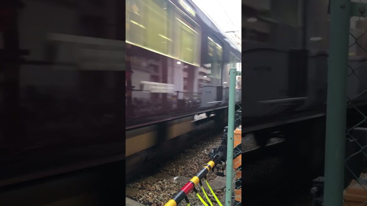 【OSAKA】Common Scene - Passing Hankyu Train at Hotarugaike Station