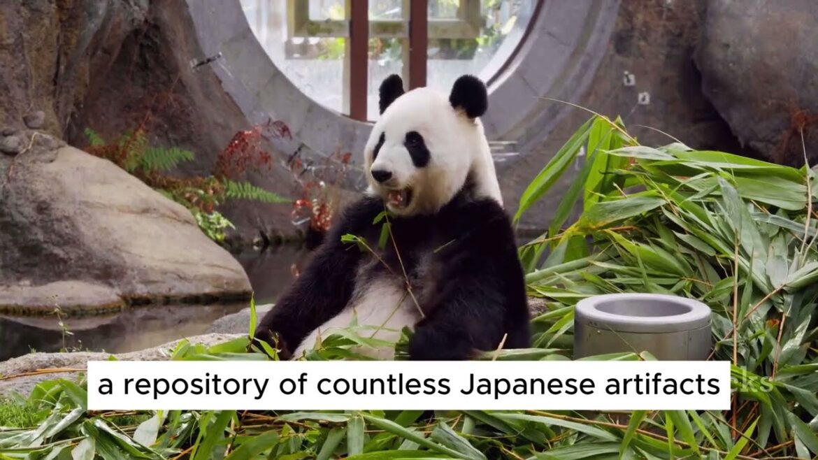 Tokyo Unveiled: Top 8 Must-Visit Destinations #Travel#World#Culture#Tourism#capitals#trends Tokyo Unveiled: Top 8 Must-Visit Destinations #Travel#World#Culture#Tourism#capitals#trends