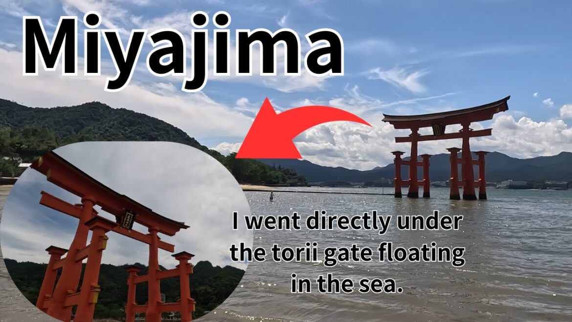 【Japan】【Hiroshima】【Miyajima】Otorii gate floating in the sea