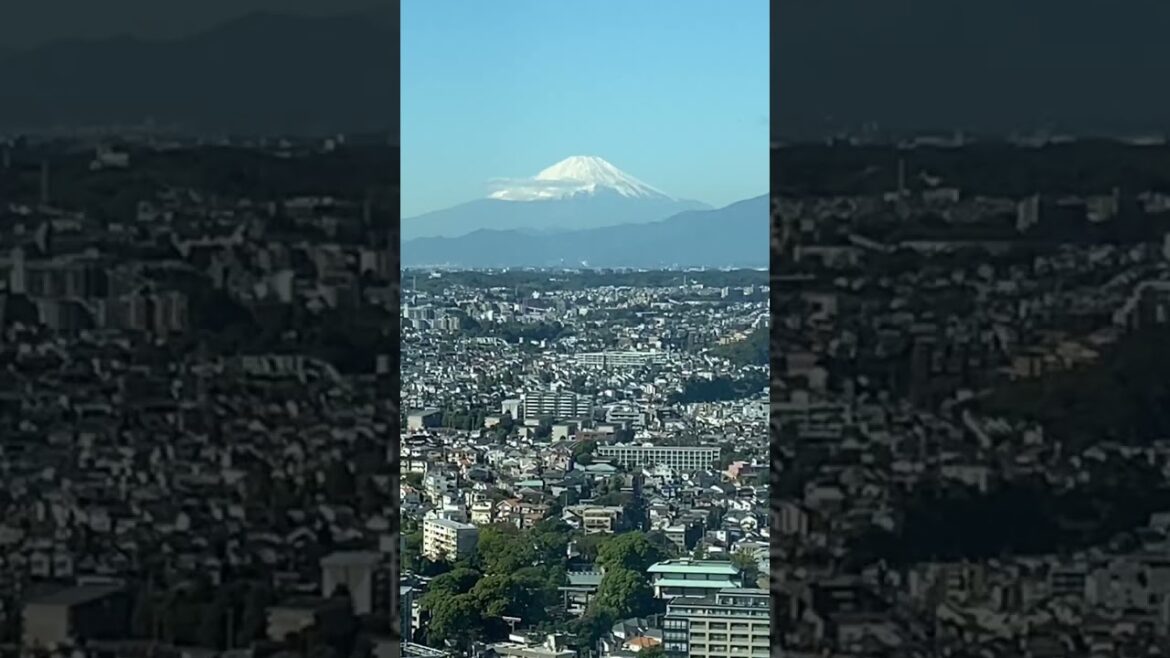 Mt. Fuji view from 46F