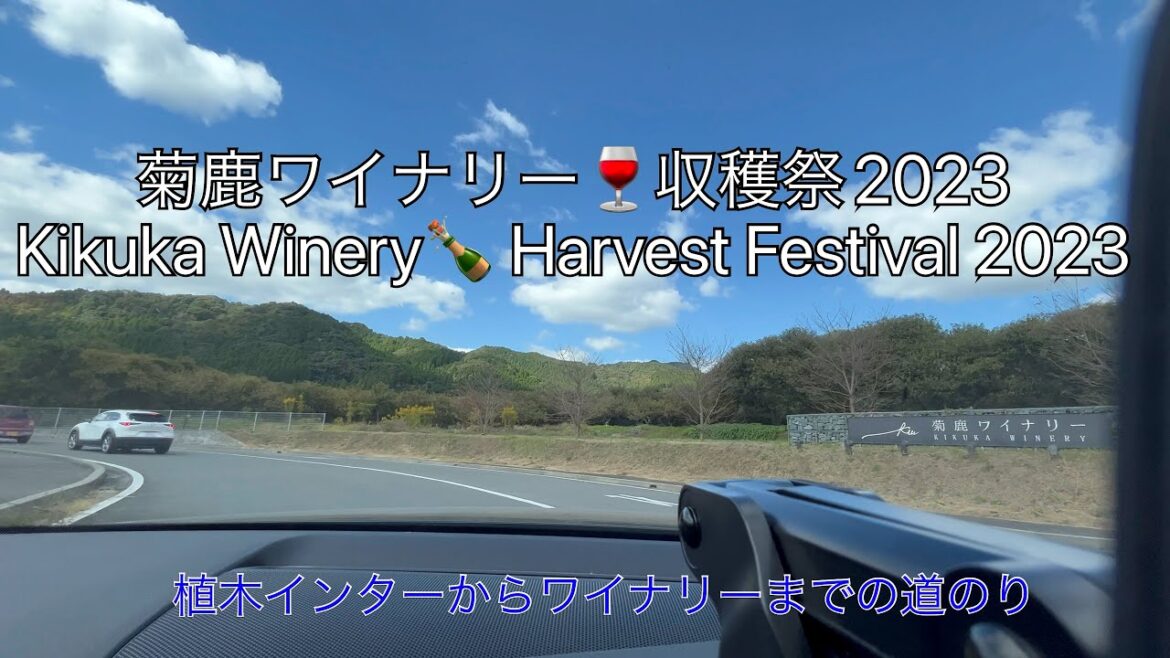 熊本日帰りドライブ【菊鹿ワイナリー / Kikuka Winery ・収穫祭2023 / Harvest Festival 2023】