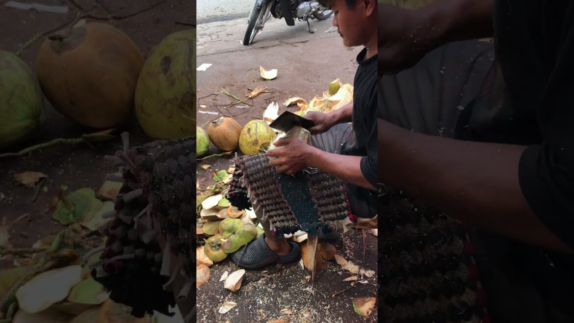 Fresh coconut cutting skill #shorts #streetfood #coconut #asmr #viral