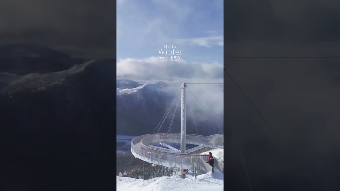 【公式】星野リゾート トマム｜Hello,Winter