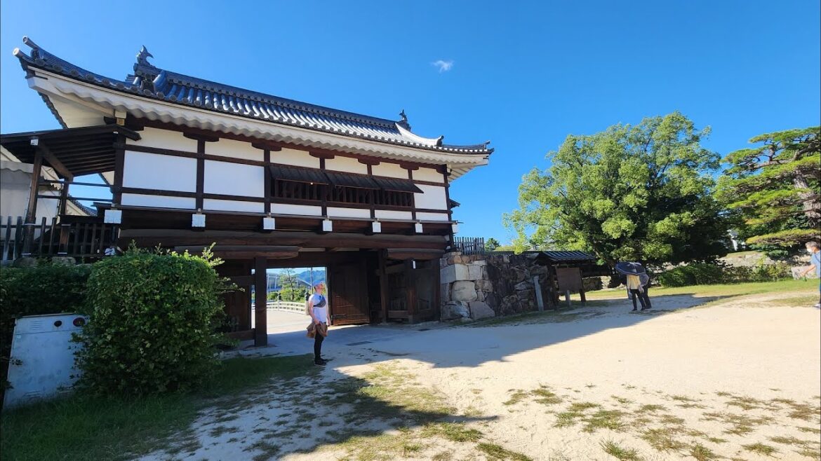 First Time Traveling to Japan! Tokyo, Nara, Osaka, Kobe Vlog – Part 1 First Time Traveling to Japan! Tokyo, Nara, Osaka, Kobe Vlog - Part 1