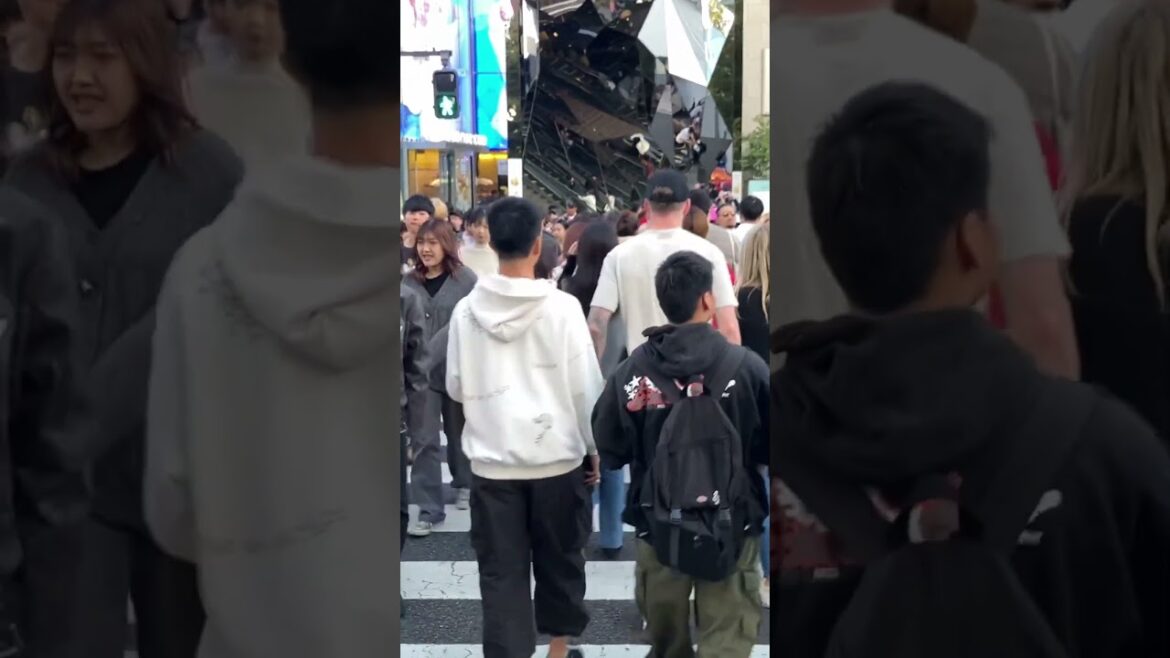 Beautiful place お散歩 #travel #japan #walkthrough #trending #youtubeshorts #short #shorts