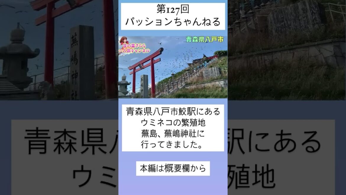 #青森 #八戸 #蕪島 #旅行動画 #一人旅 #旅行 #travel #JAPAN #蕪嶋神社 #ウミネコ #aomori #鮫駅 #天然記念物 #神社仏閣巡り #青森観光 #青森旅行 #shorts