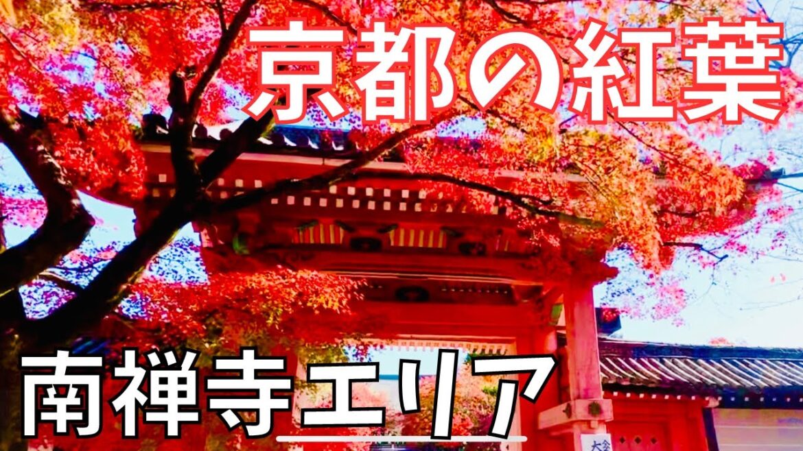 行って良かった❗京都の紅葉🍁南禅寺(岡﨑)エリア~永観堂・金戒光明寺・栄摂院・真如堂🍂Autumn leaves in  Nanzenji-temple area  Kyoto Japan