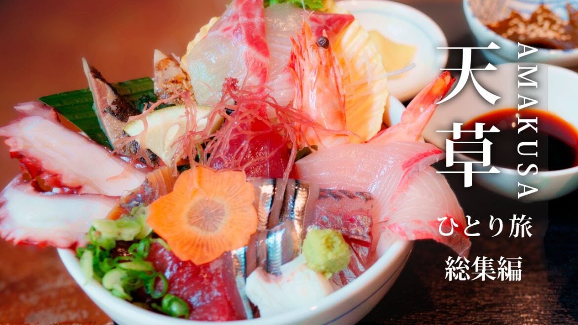 天草 でひとり旅 おすすめ海の幸と野生のイルカ 世界遺産 を巡る まとめ | Solo Travel Kyushu,Japan.