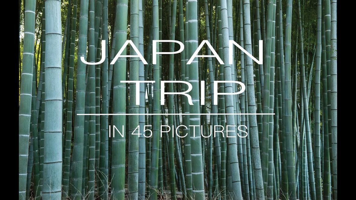 Japan trip in 45 pictures #slideshow | Nikon D800E | Destinations