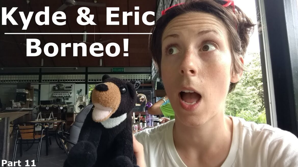 Borneo! | Sun Bears, Orangutans and Tea Plantations!
