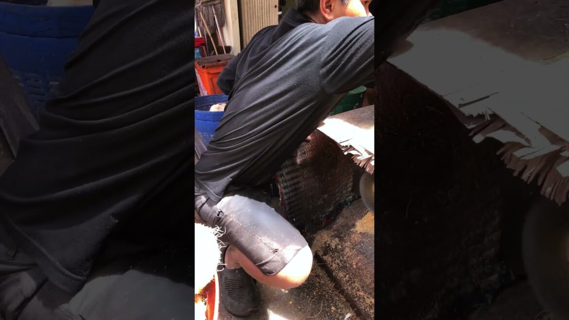 Fresh coconut cutting skill #shorts #streetfood #asmr #coconut #viral