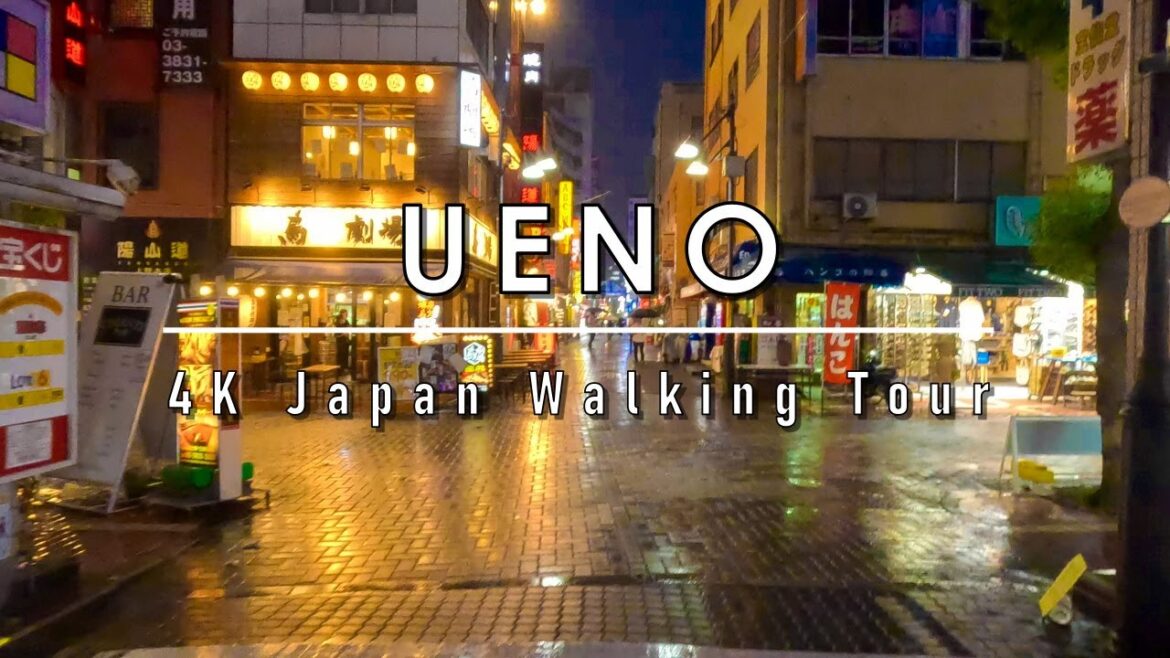 4K Japan rain walking tour in Ueno Dusk Autumn 2023 4K Japan rain walking tour in Ueno Dusk Autumn 2023