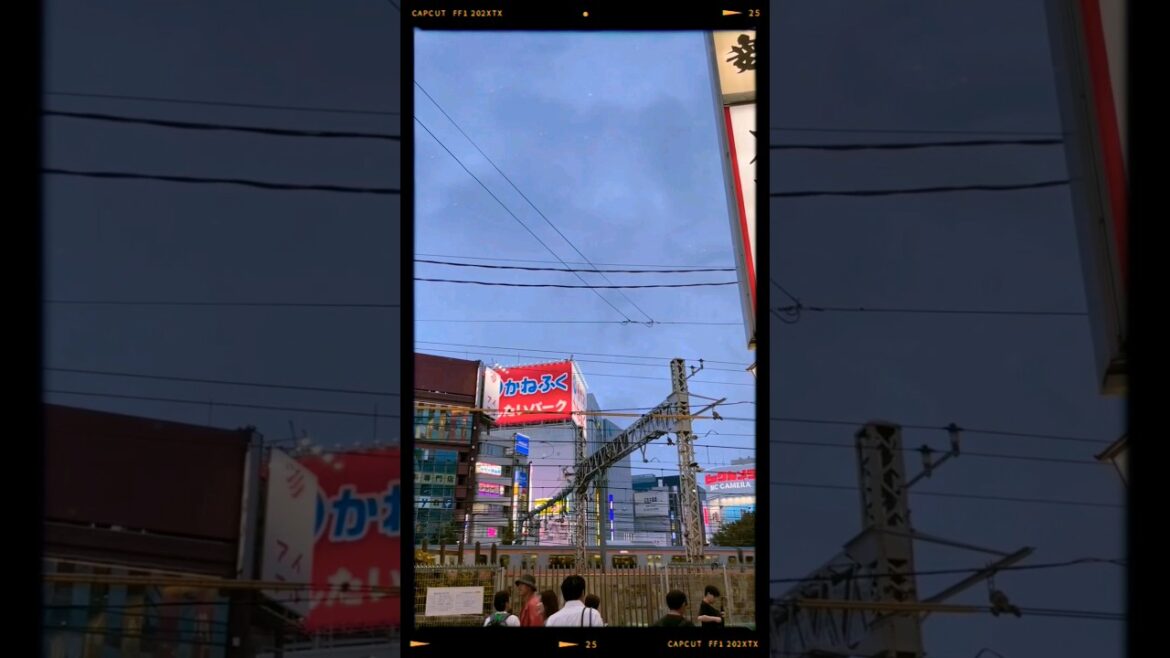 Late summer in Tokyo #tokyo #japan #travel #traveling #adventure #explore #japantravel #japanvlog Late summer in Tokyo #tokyo #japan #travel #traveling #adventure #explore #japantravel #japanvlog