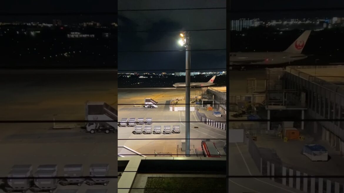 【OSAKA】Extraordinary View - Plane Take-off at Itami Airport