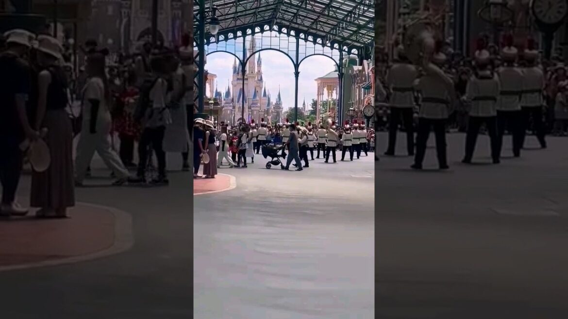 ‼️Tokyo Disneyland is NOTHING like Disney in USA 🙅♂️❌🤯 ‼️Tokyo Disneyland is NOTHING like Disney in USA 🙅♂️❌🤯