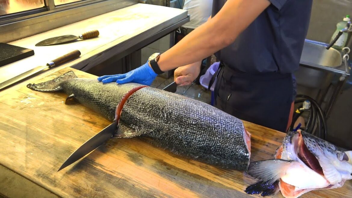Most Popular Seafood | Salmon Cutting For Sushi , Sashimi