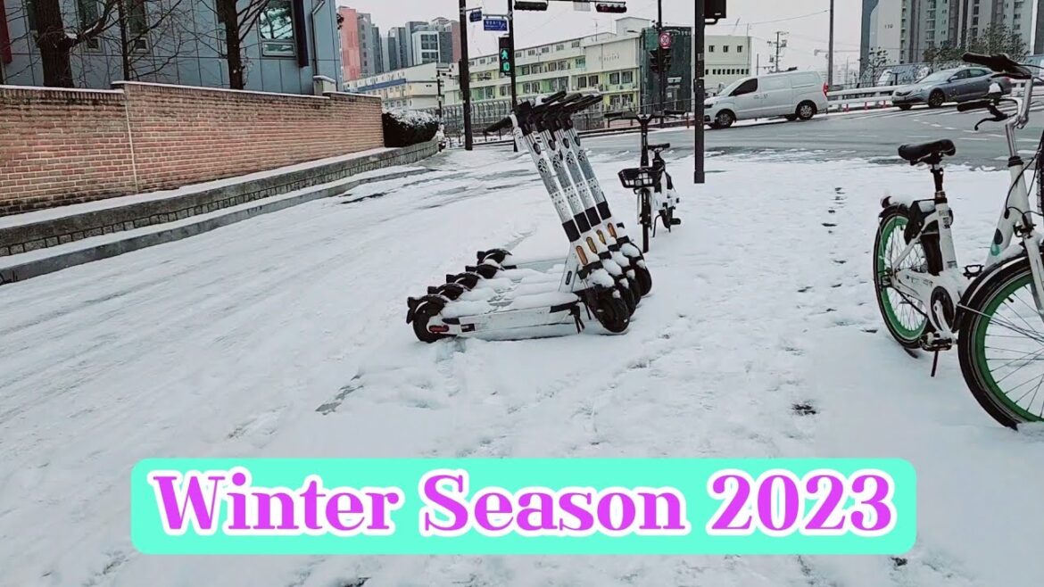 [JL Lifestyle] WINTER SEASON 2023 - SNOWFALL SHORT WALK IN THE WHITE GROUND #winterseason #snowfall