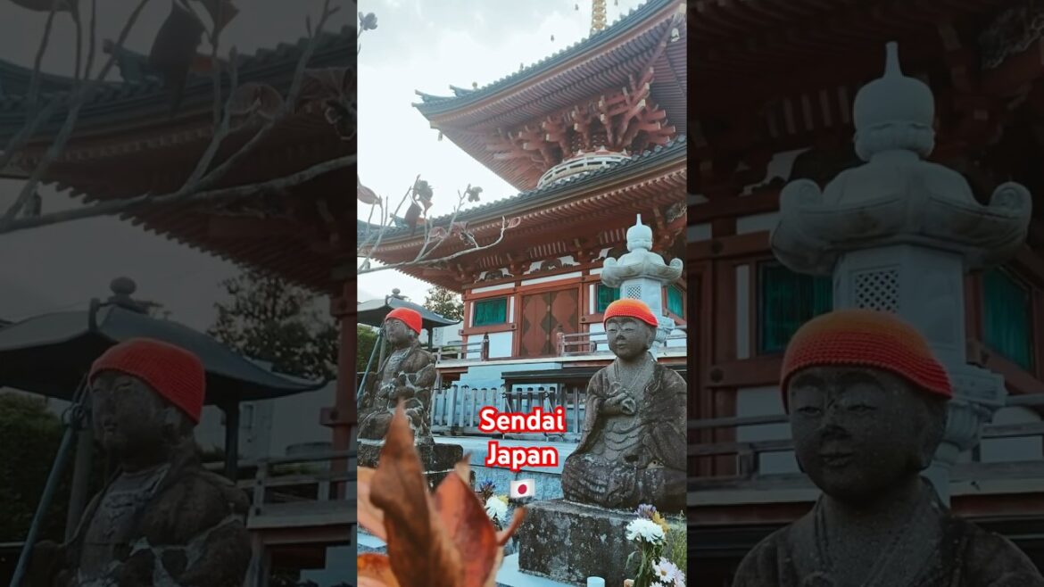 Sendai, Japan! You are beautiful 😍 🇯🇵 #japan #sendai #travel #buddha #shrine #nippon Sendai, Japan! You are beautiful 😍 🇯🇵 #japan #sendai #travel #buddha #shrine #nippon
