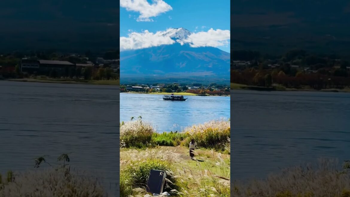 MT. fuji  #yamanashi