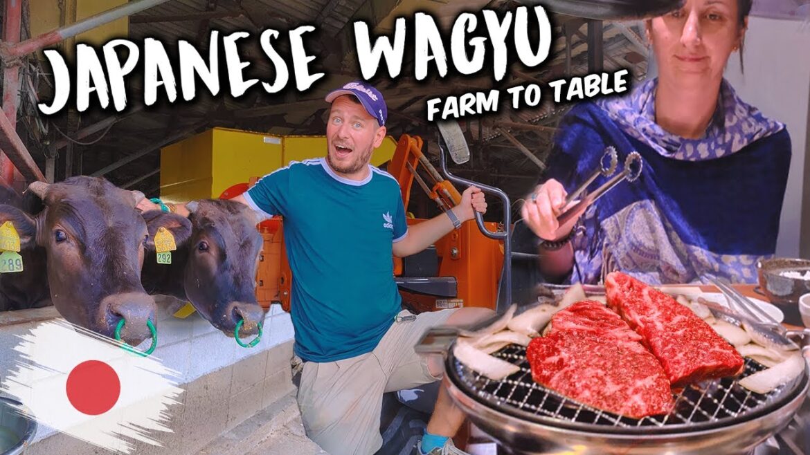 I become a Wagyu Beef Farmer in JAPAN! 🇯🇵