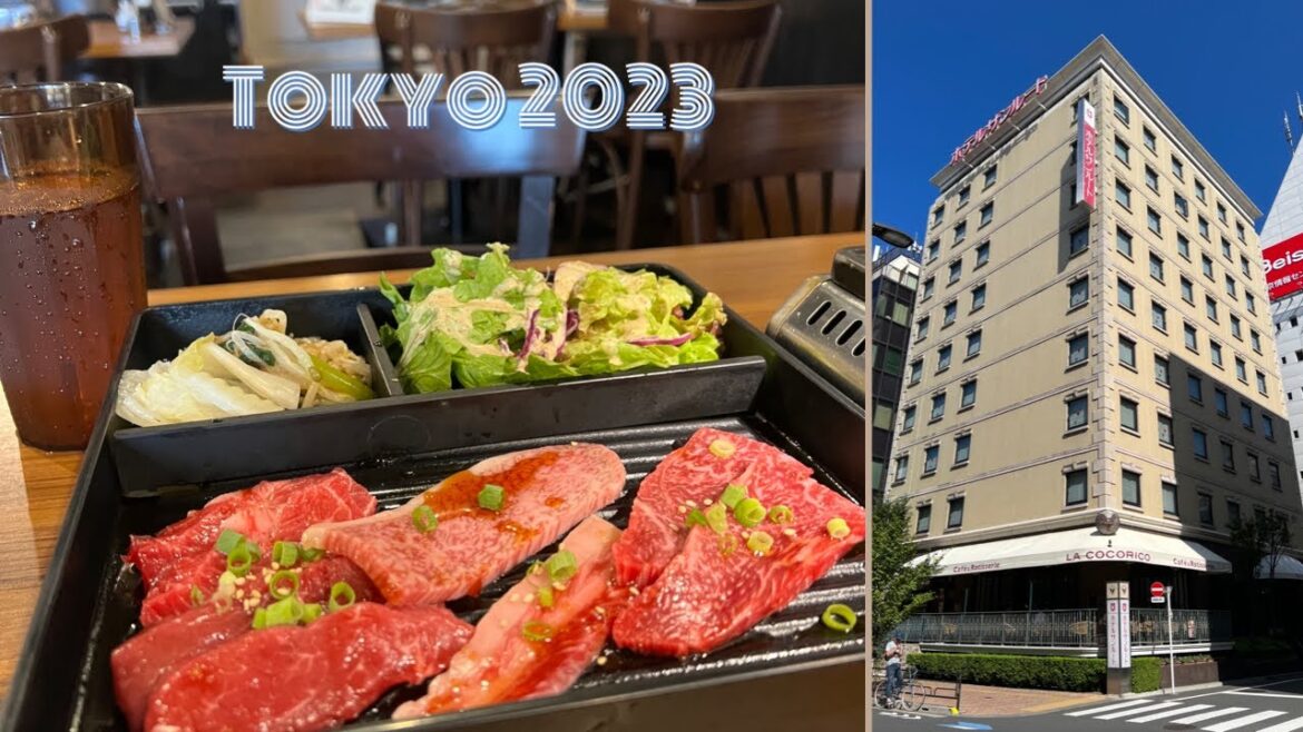 🇯🇵Tokyo🇯🇵 ¥1300/USD9 🥩 Wagyu Lunch Set 😋 Hotel Sunroute Stellar Ueno 🎨 2023