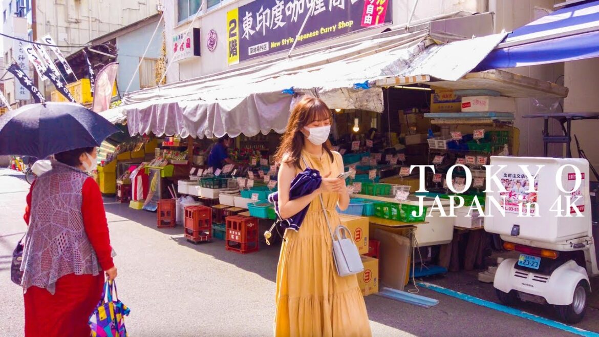 4K 築地 Tokyo Walking Tour | TSUKIJI FISH MARKET, JAPAN🔥🇯🇵