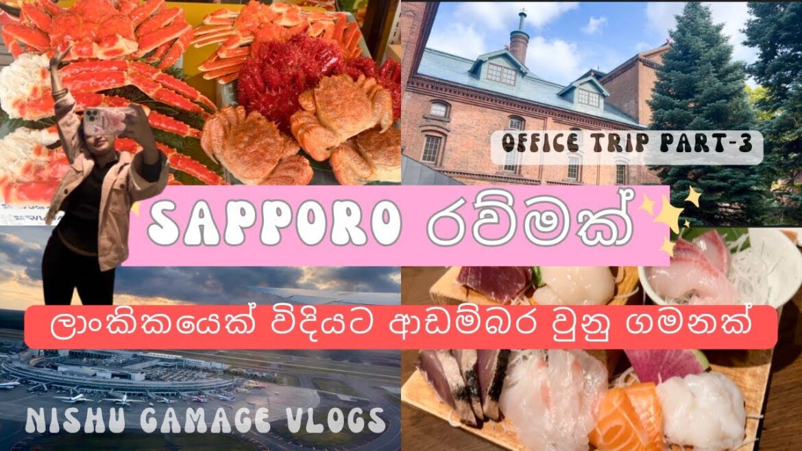 ශ්‍රී ලාංකිකයකු වීම ගැන ආඩම්බරවුනු මොහොතක්🇱🇰🇯🇵| Hokkaido Sapporo | Office Trip | Nishu Gamage