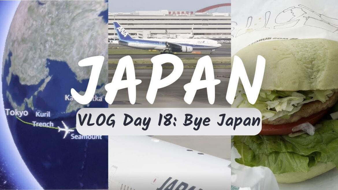 Japan Vacation VLOG: Day 18 – Haneda Airport | ANA Airways | Flight Home | Mos Burger | Bye Japan Japan Vacation VLOG: Day 18 - Haneda Airport | ANA Airways | Flight Home | Mos Burger | Bye Japan