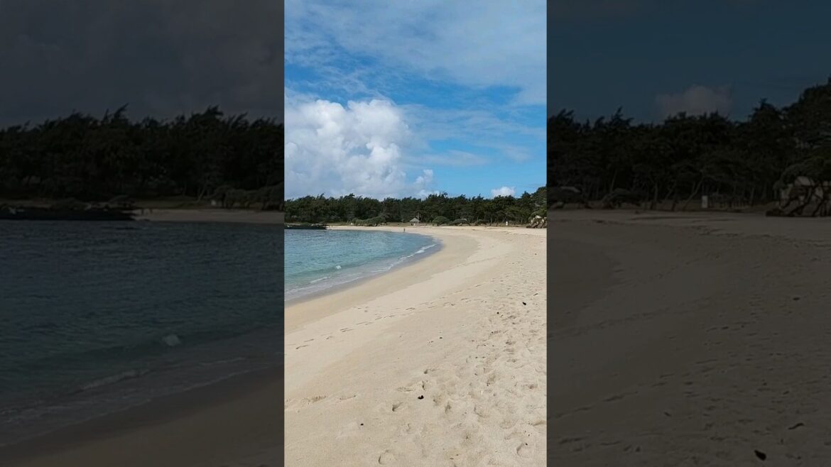 Walking Mauritius’s clear water beach #shorts #travel Walking Mauritius's clear water beach #shorts #travel