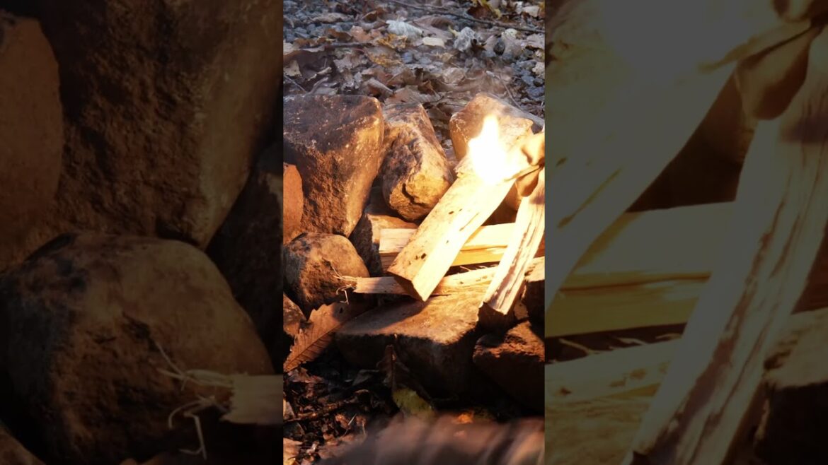 Escaped for a weekend camping trip in Hokkaido, Japan. | Part 4🍁🪵🏕️#fall #autumn #camping #shorts