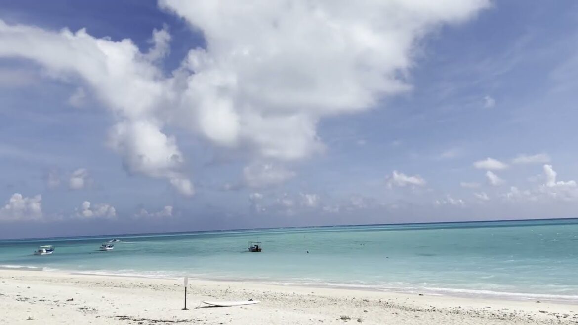 Waiting for low tide at Ohganeku Beach 2023.10.01