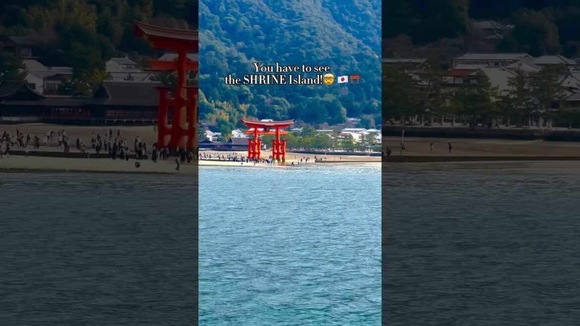 OMG! This SHRINE ISLAND is a MUST SEE! 🤯⛩️🇯🇵 #travel #shorts #hiroshima #shrine #food #fyp #japan OMG! This SHRINE ISLAND is a MUST SEE! 🤯⛩️🇯🇵 #travel #shorts #hiroshima #shrine #food #fyp #japan