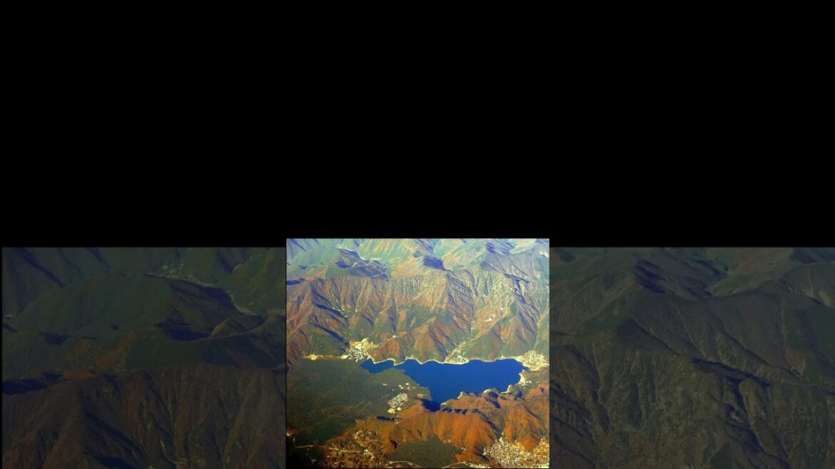 Aokigahara Forest: Nature's Beauty Veiled in Mystery #japan  #whatintheworld