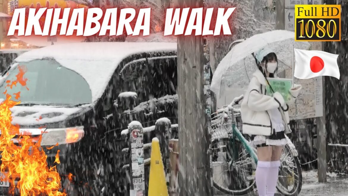 Akihabara Walk in Tokyo | Snow Day Tour | Best Places to Visit in Akiba